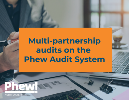 Multi partnership audits