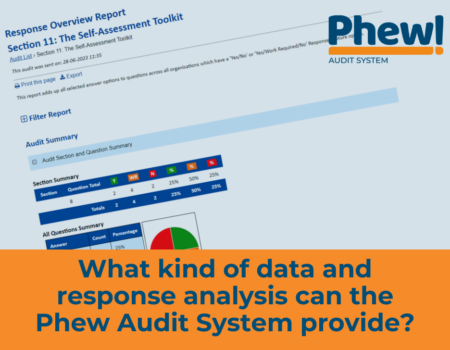 What kind of data and response analysis can Phew’s Audit System provide